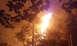 اندلاع حريق في أحراج ساحل علما