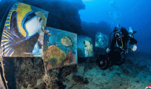 لبنان يدخل “غينيس” مجددًا: أكبر معرض للصور تحت الماء