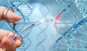 العلاج الجيني… ثورة طبّية تنهي عصر الأدوية