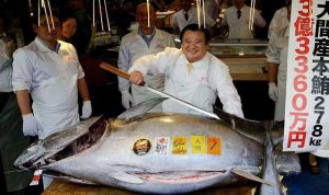 بيع سمكة تونة بـ3 ملايين دولار في اليابان!