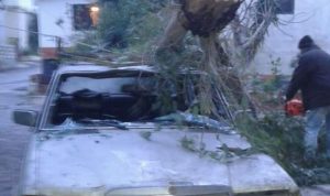 بسبب سرعة الرياح.. سقوط شجرة على سيارة في عكار