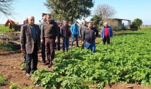 مزارعو البطاط في عكار: لدعم الانتاج اللبناني حصرا