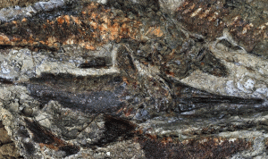 اكتشاف أدلة على النيزك الذي قضى على الديناصورات