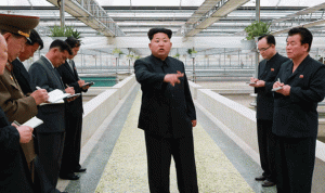 كوريا الشمالية… الزعيم يعدم رجلاً بسبب “Flash memory”!