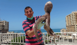اخطبوط عملاق في شباك صيادي في صور