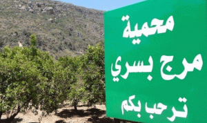 الحملة الوطنية للحفاظ على مرج بسري: بناء السد مدمّر