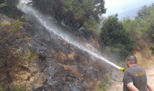 بالصور: حريق حرج من اشجار السنديان في عكار