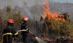 69 قتيلا في حرائق الغابات في الجزائر