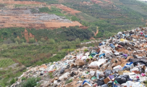 فرنجية وجريصاتي: لحل سريع لأزمة النفايات