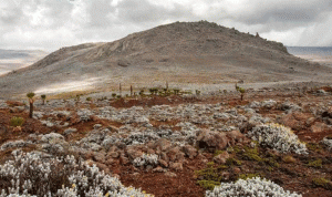 اكتشاف أقدم مستوطنة بشرية على ارتفاع شاهق