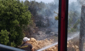 إخماد حريق في أحراج بلدة دده-الكورة