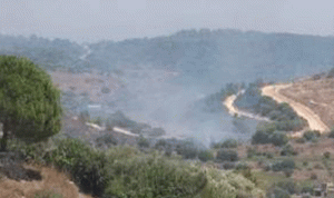 انفجار 40 لغمًا بسبب الحريق على الحدود مع فلسطين