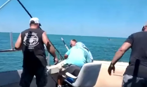 بالفيديو: سمكة قرش تعضُ ساق صائدها!