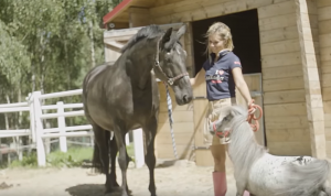 بالفيديو: اكتشاف أصغر حصان في العالم!
