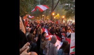لبنانيون في نيويوك يتضامنون مع الثوار: “كلن يعني كلن” (بالفيديو)