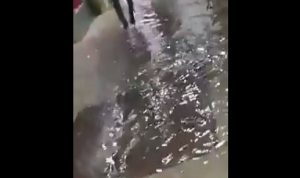 مبنى وزارة العمل غارق بالمياه! (فيديو)