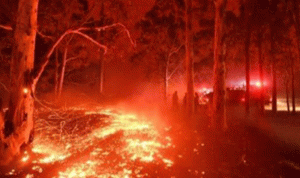 حرائق أستراليا “تلتهم” طائرة إطفاء.. ومقتل طاقمها