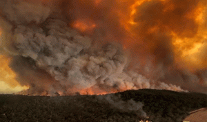 أستراليا تعلن حالة الطوارئ بسبب حرائق الغابات