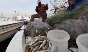 نقيب صيادي الأسماك في صيدا: للالتفات إلى معاناة القطاع!