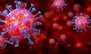 أخطر من كورونا… وباء يهدد العالم بمعدل وفيات يصل إلى 75%!