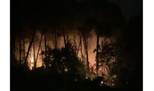بعد الرياح.. لبنان “يحترق”! (صور)