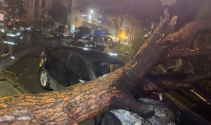 لبنان “يطير”.. غضب الرياح يقتلع الاشجار وحجار المنازل (بالفيديو والصور)