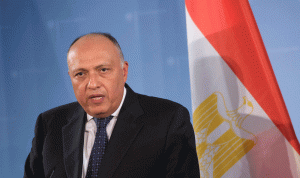 مصر: طلبنا من مجلس الأمن اتفاقًا ملزمًا بملف “النهضة” خلال 6 أشهر