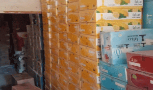 ضبط كميات كبيرة من التبغ والمعسل المهرب في عكار (صورة)