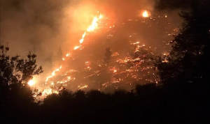 حريق كبير في داريا – الضنية