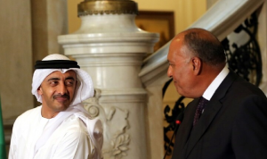 وزير الخارجية الإماراتي عرض ونظيره المصري الوضع في شرق المتوسط