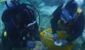 العثور على كنز مفقود منذ 1000 عام  تحت سطح البحر