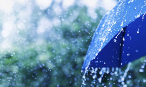 الأمطار “راجعة”… هذا ما يخبّئه طقس الأيام المقبلة!