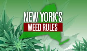 نيويورك نحو الانضمام إلى الولايات التي تشرع الماريجوانا