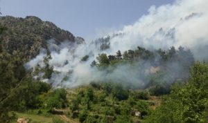 حريق في خراج مشمش-عكار… ومحاولات لإخماده