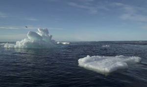 الجليد في القطب الشمالي يذوب أسرع بمرتين