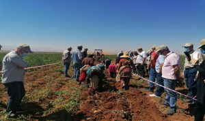 تمويل فرنسي يمنح المزارعين في لبنان بارقة أمل لإنقاذ أعمالهم