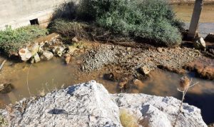 عودة مياه نبع الصفا في وادي خالد الى التدفق