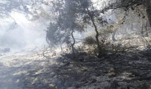 إخماد حريق هائل في بينو