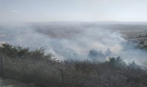 حريق في أحراج منطقة بسري