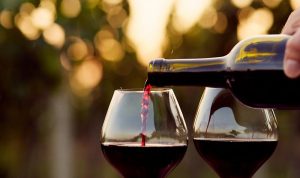 تصدير النبيذ يُحقّق أرقاماً قياسية!