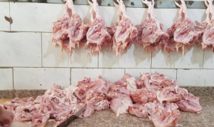 عودة خط التهريب إلى سوريا تُلهب أسعار الدجاج