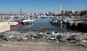 بالفيديو والصور: أسماك نافقة تغزو ميناء صيدا!
