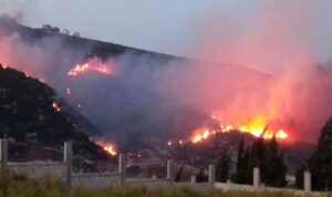 حريق هائل في صور… ووزير الزراعة يتحرّك!
