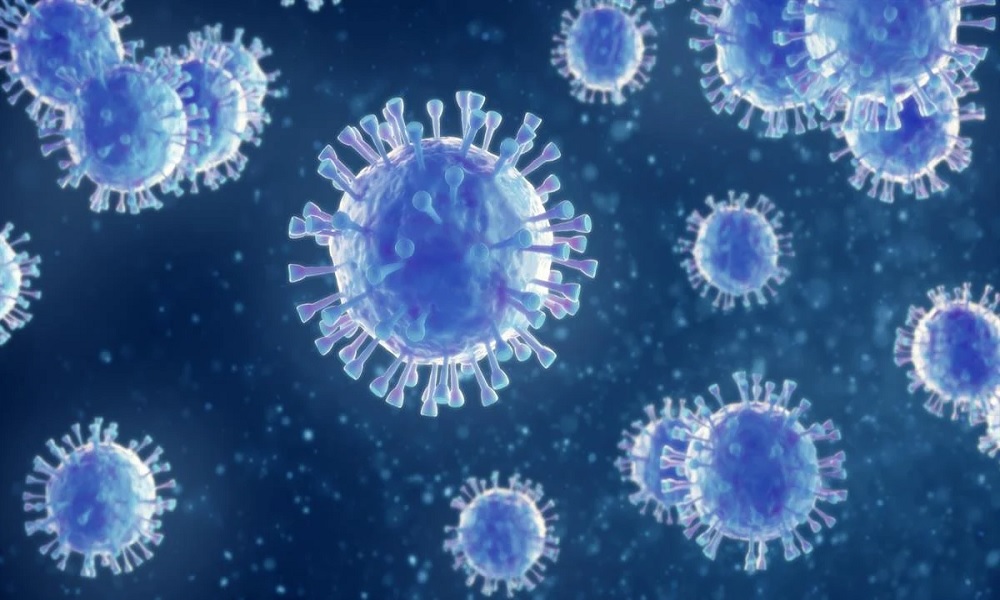 فيروس جديد يُشبه “كورونا”… ويقاوم اللّقاحات!