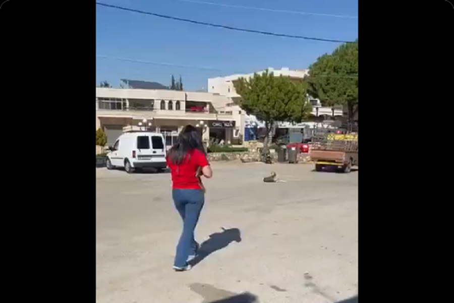في البقاع الغربي… سيدة تُطلق النار بـ”وحشية” على كلب (فيديو)