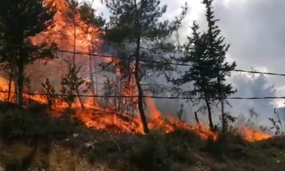 حريق في بطرماز – الضنية… ومناشدات لإخماده