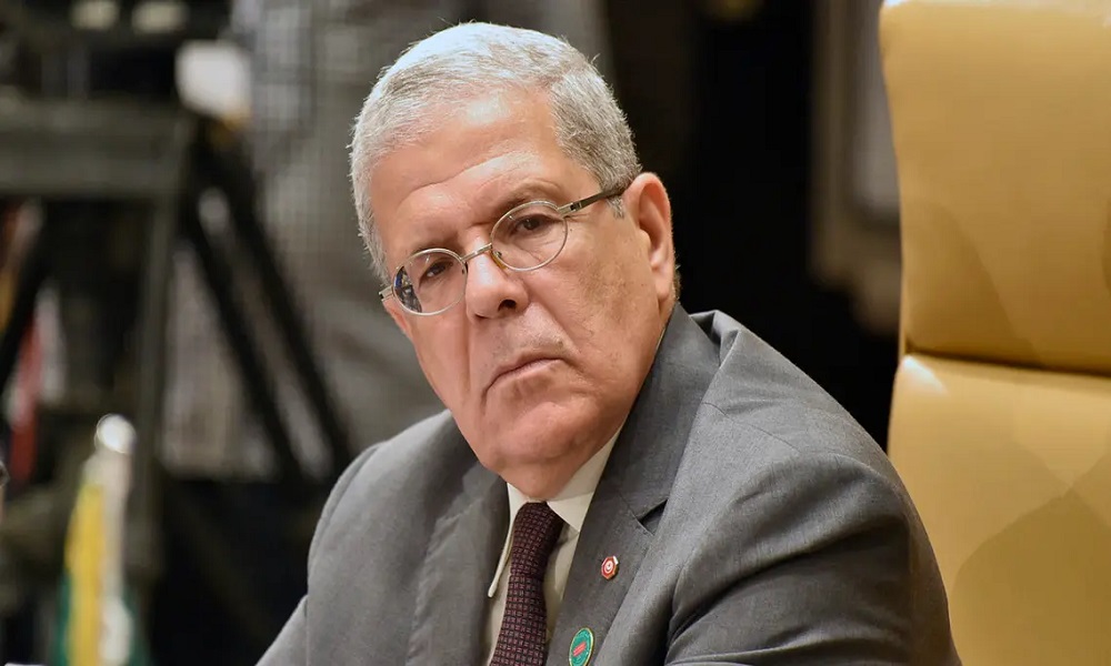 وزير خارجية تونس:  الديمقراطية مسألة محسومة