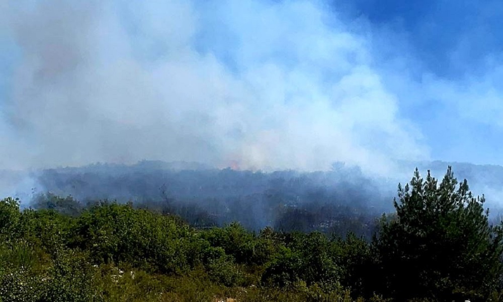حريق كبير في خراج بلدة قبة شمرا العكارية