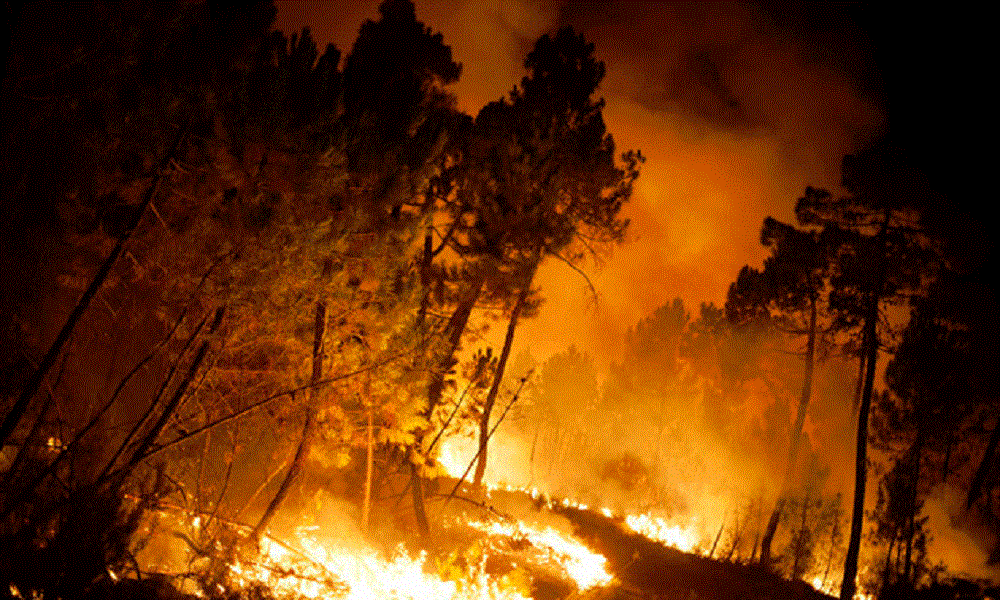 بالفيديو: امتداد حرائق الغابات إلى عدد من القرى في إسبانيا