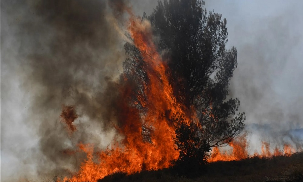 حرائق الغابات تستعر في فرنسا وعمليات الإجلاء متواصلة